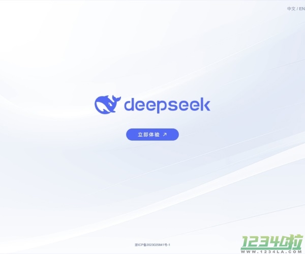 DeepSeek