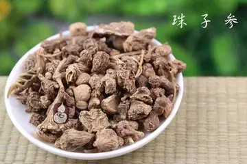 珠儿参的四大功效与作用