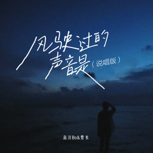 海洋Bo/FRIEME/Zy的《风驶过的声音是(说唱版)》歌词