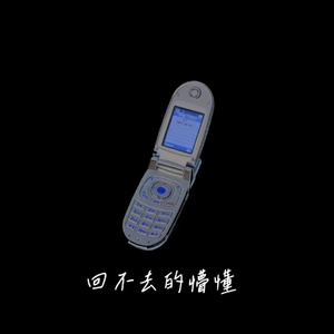 回音哥/Zy的《回不去的懵懂》歌词