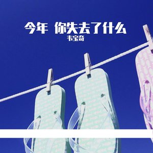 韦宝奇的《今年 你失去了什么》歌词