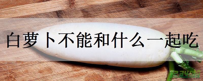 不能和白萝卜一起吃的食物 白萝卜养生搭配