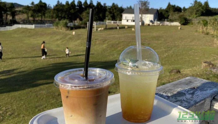 苏州新晋网红竹筒奶茶 有奶茶店日销1000杯竹筒奶茶