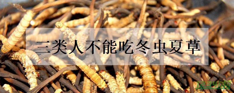 哪三类人不能吃冬虫夏草 为什么不能吃