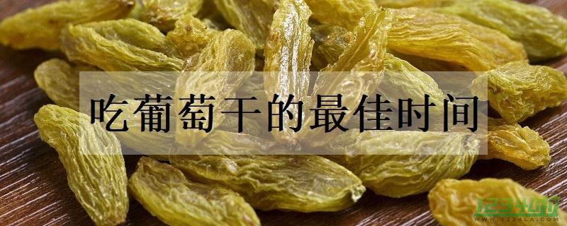 吃葡萄干的最佳时间