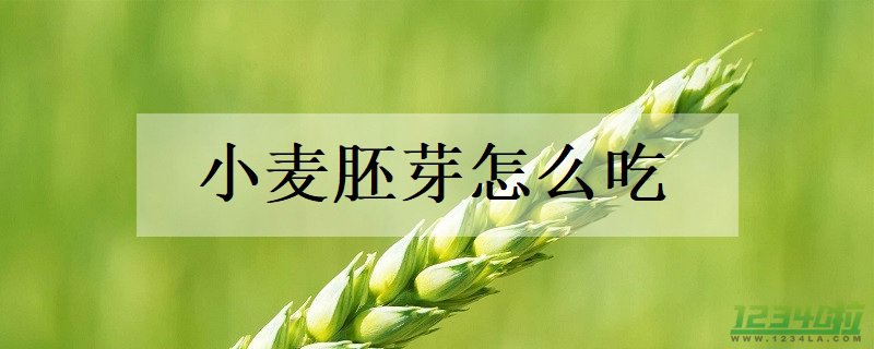 小麦胚芽怎么吃 小麦胚芽的功效