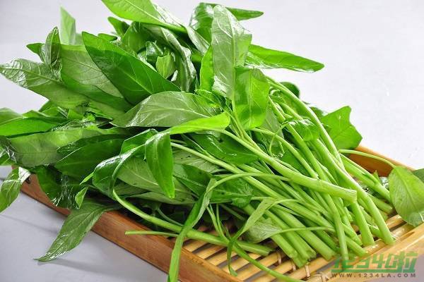 竹叶菜的功效与作用 竹叶菜的营养价值