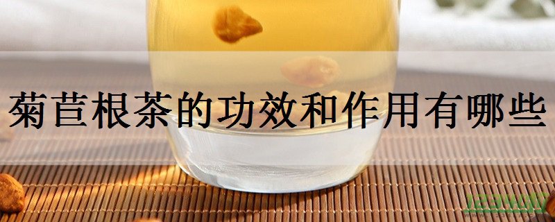 菊苣根茶的功效和作用 喝菊苣根茶的禁忌