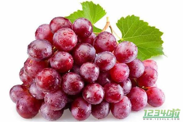 葡萄的功效与作用有哪些 食用葡萄的禁忌