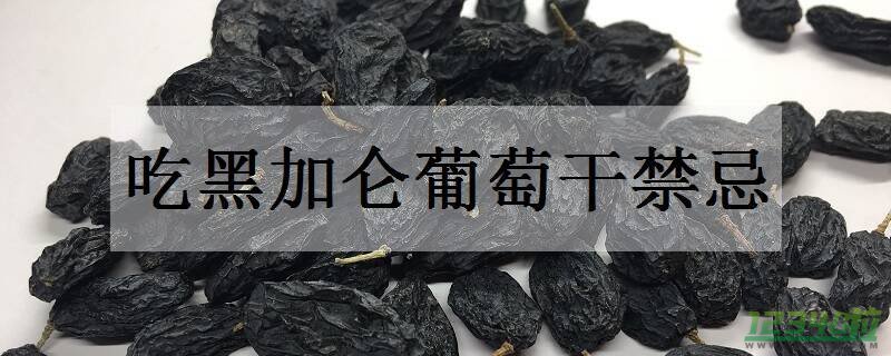 吃黑加仑葡萄干禁忌食用注意事项