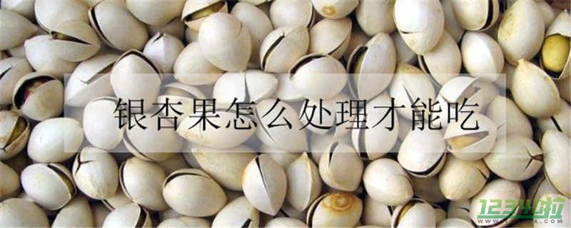 银杏果不中毒的吃法 白果的功效与作用