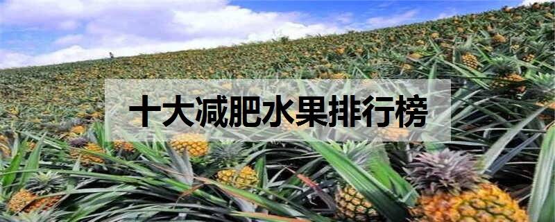 十大减肥水果排行榜哪些水果减肥