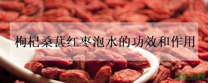 枸杞桑葚红枣泡水的功效和作用