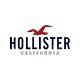 Hollisterlogo图标