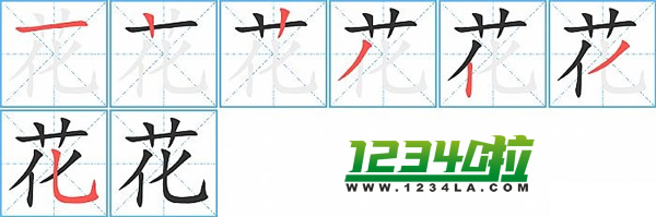 《花》字笔划顺序