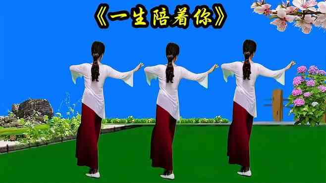 琴韵广场舞想你想你把你再盼-伤感动听，64步广场舞背面演示