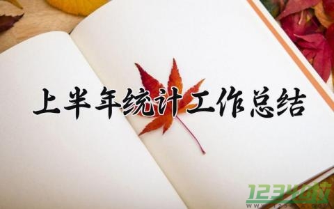 上半年统计工作总结 2024年上半年统计工作总结 (12篇）