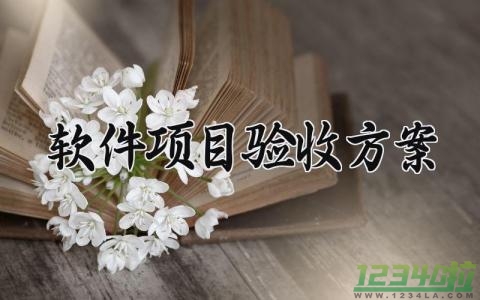 软件项目验收方案 软件项目的验收内容 (9篇）