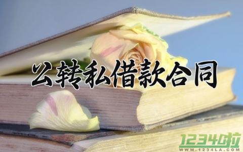 公转私借款合同 公转私借款的合同 (8篇）