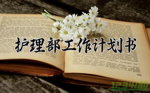 护理部工作计划书 护理部工作的计划范文 (20篇）