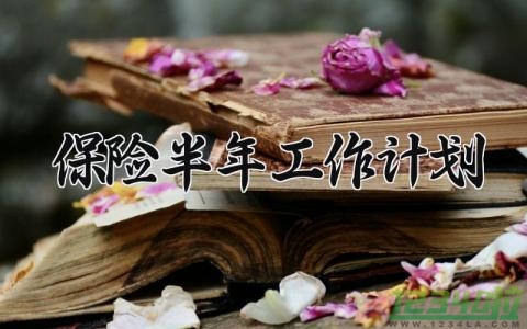 保险半年工作计划范文 保险公司半年工作计划 (12篇）