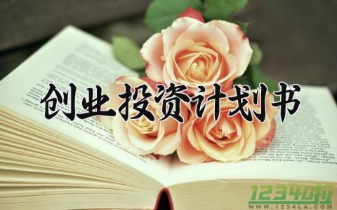 创业投资计划书 创业投资的计划书范文 (7篇）