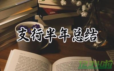 支行半年总结 支行的半年总结报告（15篇）