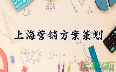 上海营销方案策划 上海的营销方案策划公司（10篇）