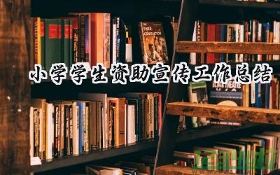 小学学生资助宣传工作总结 小学的资助宣传工作总结报告范文（15篇）