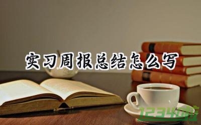 实习周报总结怎么写 实习周报的总结怎么写（16篇）