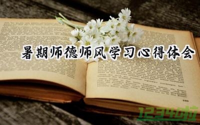 2024年暑期师德师风的学习心得体会（17篇）