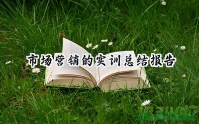 市场营销的实训总结报告2000字怎么写（15篇）