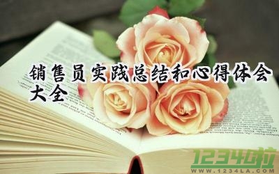 销售员实践总结和心得体会大全怎么写（15篇）