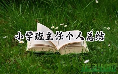 小学班主任个人总结年度考核（17篇）