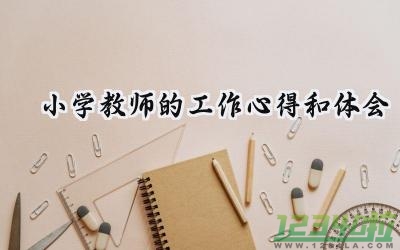 小学教师的工作心得和体会范文（6篇）