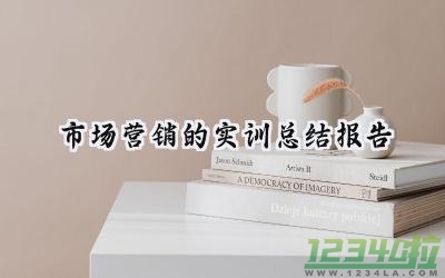 市场营销的实训总结报告怎么写（15篇）