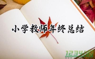 小学教师年终总结个人怎么写（17篇）