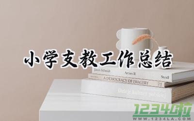 小学支教工作总结范文怎么写（13篇）