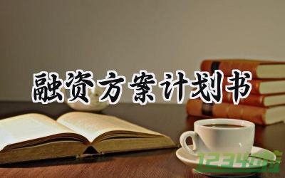 融资方案计划书怎么写范文 (14篇）