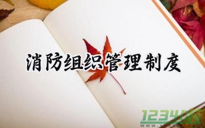 消防组织管理制度范文 (15篇）