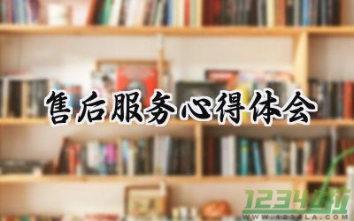 售后服务心得体会100字怎么写 (12篇）