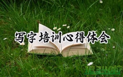 写字培训心得体会怎么写范文  (8篇）