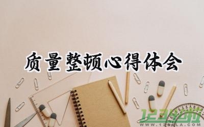 质量整顿心得体会800字范文 (8篇）