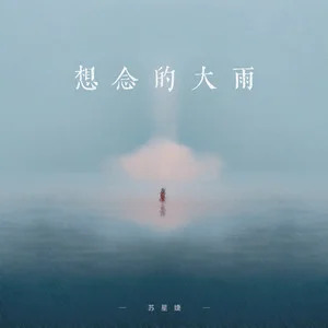 苏星婕的《想念的大雨》歌词