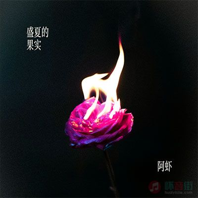 阿虾的《盛夏的果实》歌词