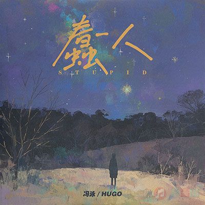 冯泳/Hugo的《蠢人》歌词