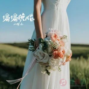 小阿七的《偏偏晚婚》歌词