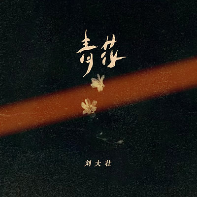 刘大壮的《青花(遗憾无法说)》歌词