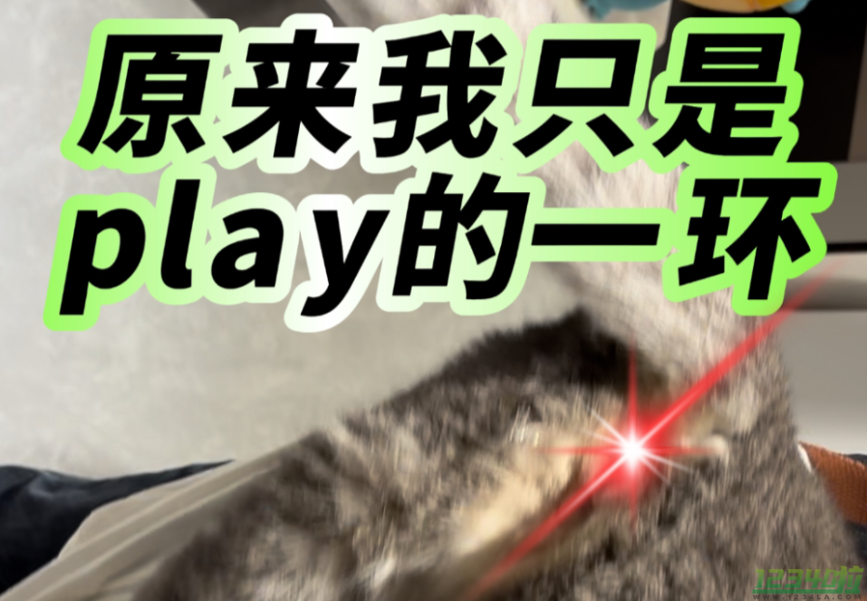 我也是你们play的一环吗