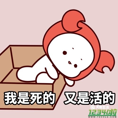 薛定谔的猫是什么意思